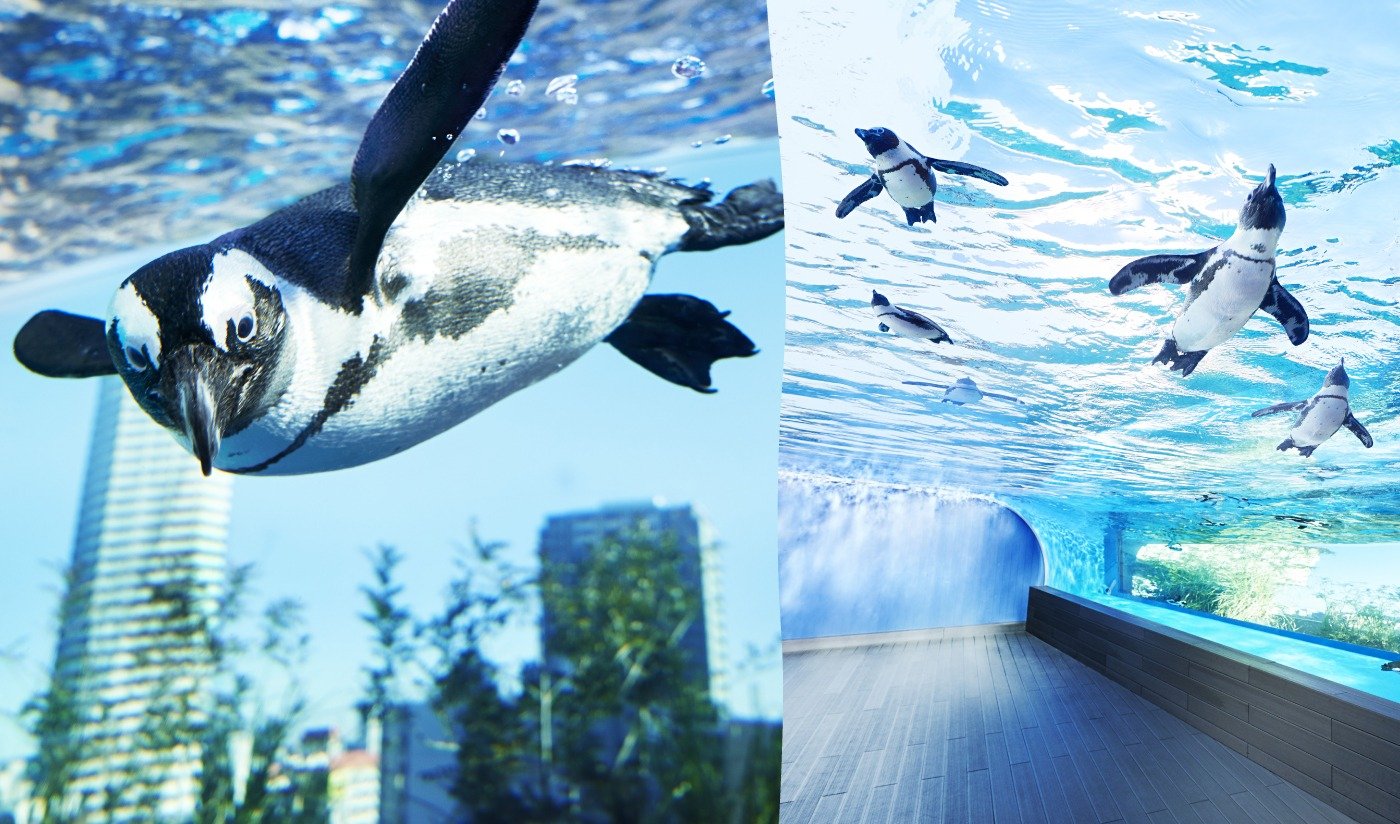 New exciting discoveries await you!Sunshine Aquarium