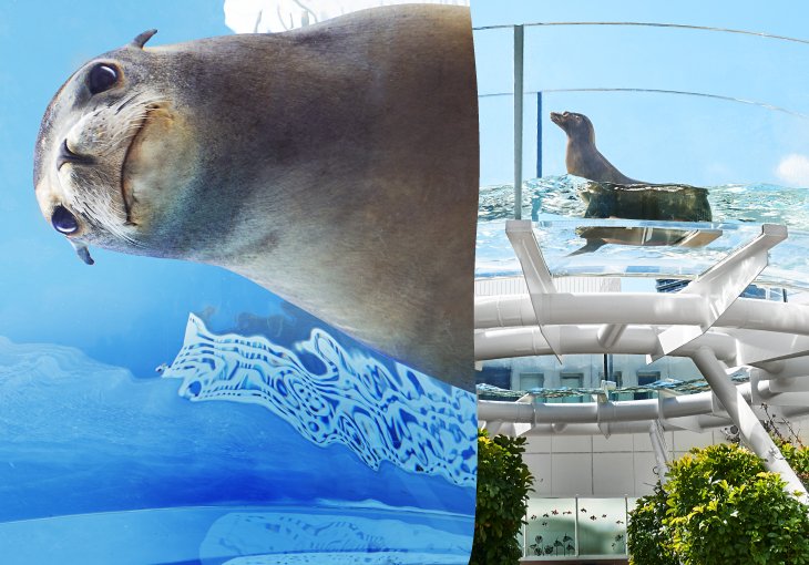 New exciting discoveries await you! Sunshine Aquarium