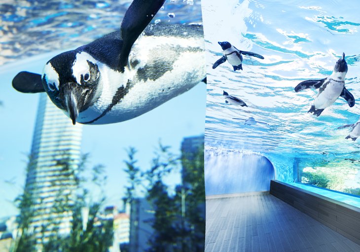 New exciting discoveries await you!Sunshine Aquarium