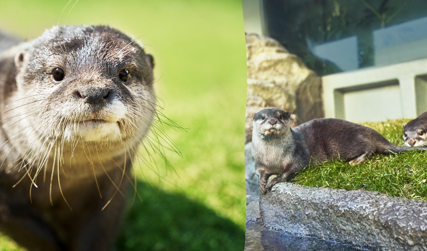 New exciting discoveries await you!Sunshine Aquarium