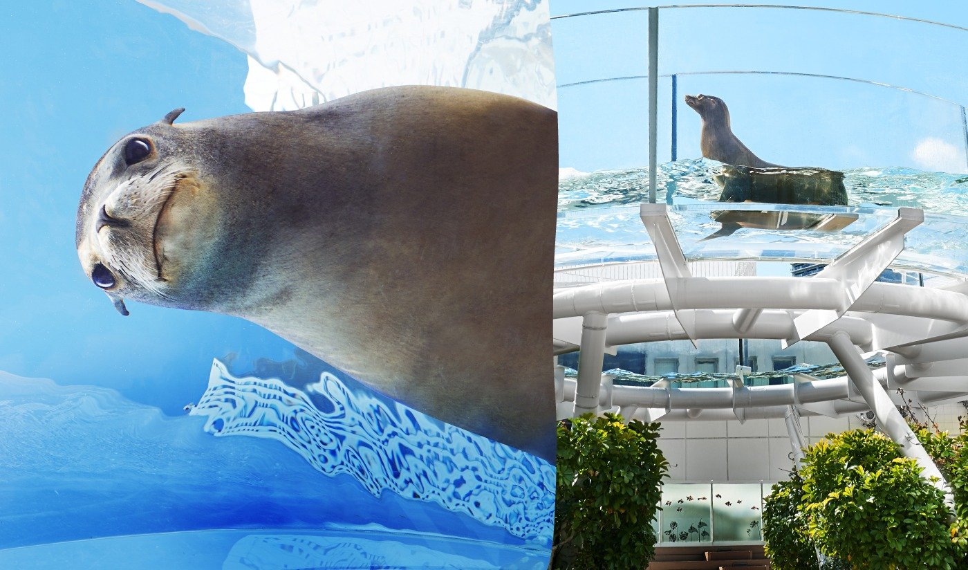 New exciting discoveries await you! Sunshine Aquarium