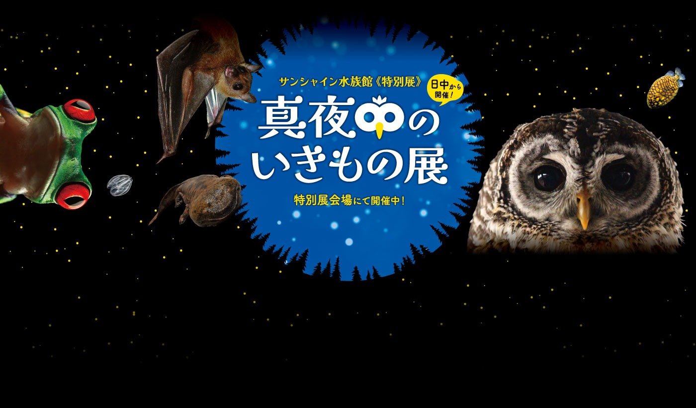 サンシャイン水族館特別展　真夜中のいきもの展