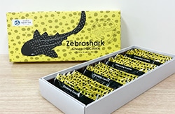 tiger shark chocolate chip cookie
