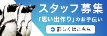 Staff recruitment