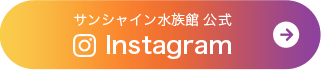 Sunshine Aquarium’s official Instagram account