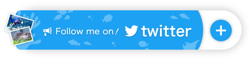 Follow me on! twitter