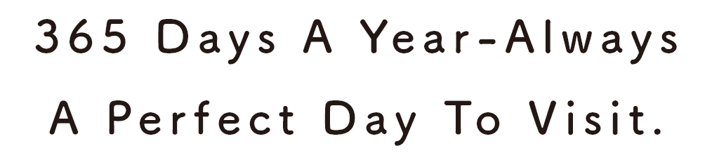 365 Days A Year-Always A Perfect Day To Visit.
